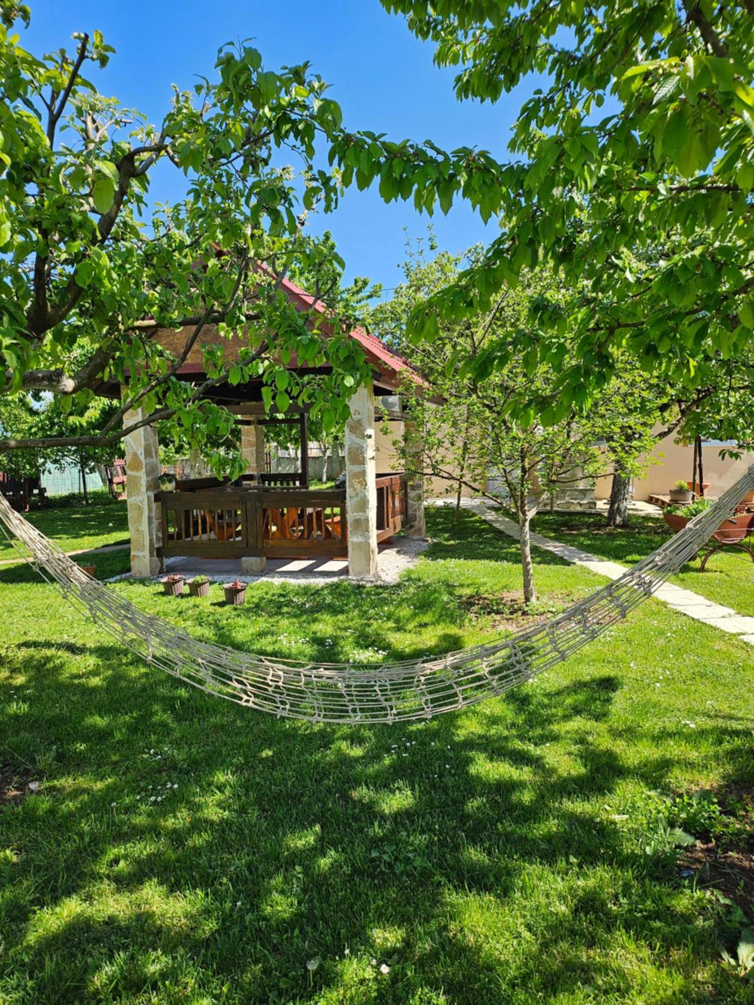 Calm Nest Lägenhet Nikšić Exteriör bild